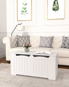 Hzuaneri Storage Bench, Storage Seat, Storage Chest with 2 Sturdy Hinges, White