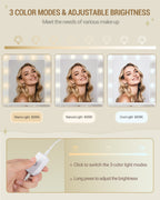 Hzuaneri Large Dressing Table with 10 LED Lights & Mirror, 9 Drawers, 9 Shelves, 3 Colors