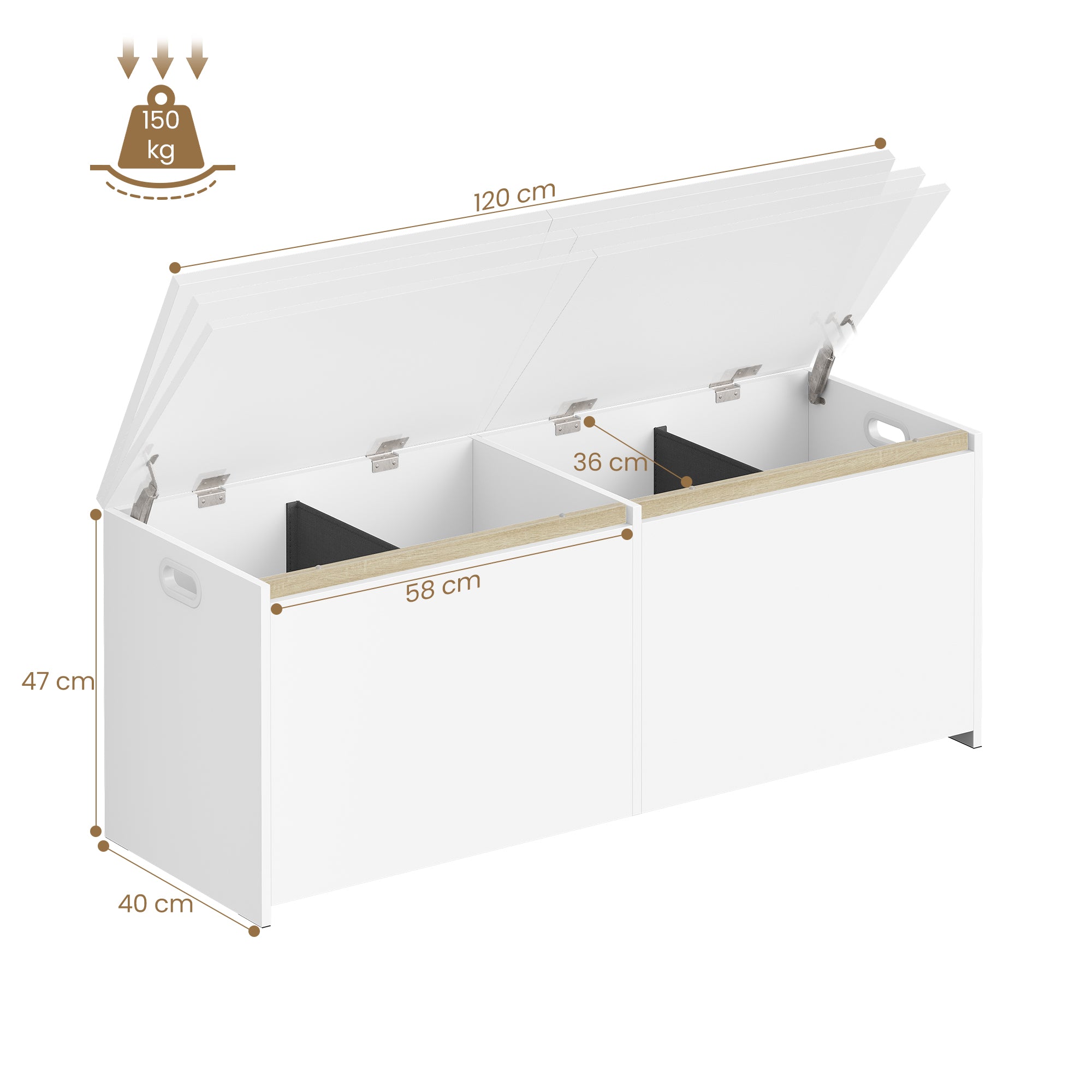 Hzuaneri Shoe Bench 120 cm White Storage Box, Space Saving, Suitable for Living Room, Hallway and Bedroom, 40 x 120 x 47 cm SB21203X